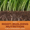 Grass Seed Pack - Image 2