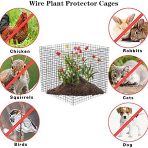 Plant Protection Pack – 6-Piece Defense Kit for Pests, Frost, and Physical Garden Damage
