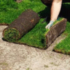 Sod Rolls Large - Image 2