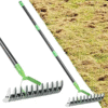 Thatch Rake – Dual-Tine Steel Head for Dethatching and Grass Grooming