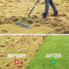 Thatch Rake – Dual-Tine Steel Head for Dethatching and Grass Grooming - Image 2
