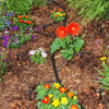 Barbed Connectors – 1/4" Drip Irrigation Fittings for Tubing, Emitters & Micro-Line Connections (50-Pack) - Image 2