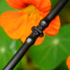Barbed Connectors – 1/4" Drip Irrigation Fittings for Tubing, Emitters & Micro-Line Connections (50-Pack) - Image 3