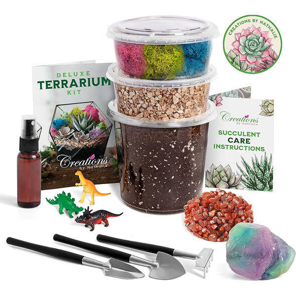 Terrarium Kit – Complete DIY Glass Garden Set for Succulents, Air Plants & Moss (With Soil & Stones)