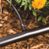 Barbed Connectors – 1/4" Drip Irrigation Fittings for Tubing, Emitters & Micro-Line Connections (50-Pack) - Image 4