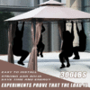 Gazebo Kits – All-in-One Outdoor Shelter Kits for Patios, Gardens & Backyard Retreats - 10' x 10' - Image 4