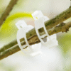 Plant Clips – 100-Pack Reusable Garden Support Clips for Stems, Vines & Trellises - Image 2