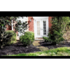 Mulch Dye – 1 Gallon Concentrated Colorant for Restoring Mulch & Landscape Beds - Image 2