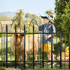 Garden Border Fencing – 10 ft Decorative Metal Panels for Landscape Edging & Flower Bed Protection (5-Pack) - Image 4