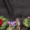 Landscape Fabric – 3 ft x 50 ft Weed Barrier Roll for Raised Beds & Small Garden Areas - Image 2