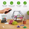 Terrarium Kit – Complete DIY Glass Garden Set for Succulents, Air Plants & Moss (With Soil & Stones) - Image 3