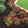 Rubber Mulch – 0.8 cu. ft. Bag of Long-Lasting, Weed-Blocking Mulch for Landscaping & Playgrounds - Image 2
